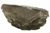 Massive, Double-Terminated Natural Smoky Quartz Crystal #219223-4
